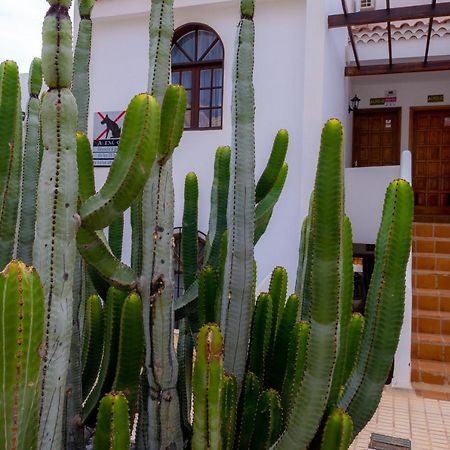 Las Bouganvillas 1 Bed Apartment In Costa Adeje Экстерьер фото