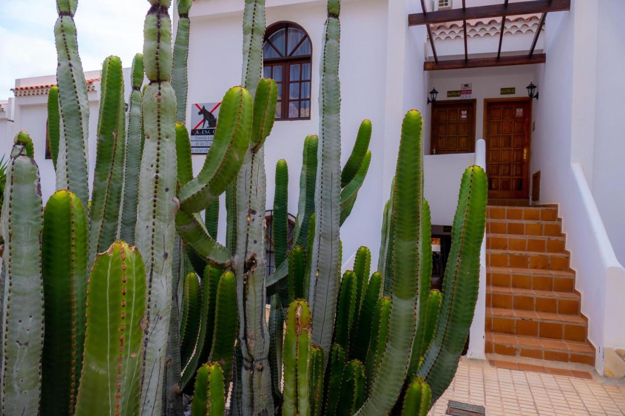 Las Bouganvillas 1 Bed Apartment In Costa Adeje Экстерьер фото